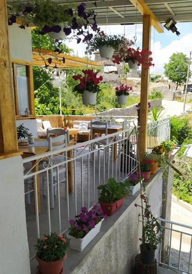 Tearra Guesthouse Gjirokastër 게스트하우스